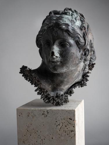 Affiliati-Oricalco-Venus-01